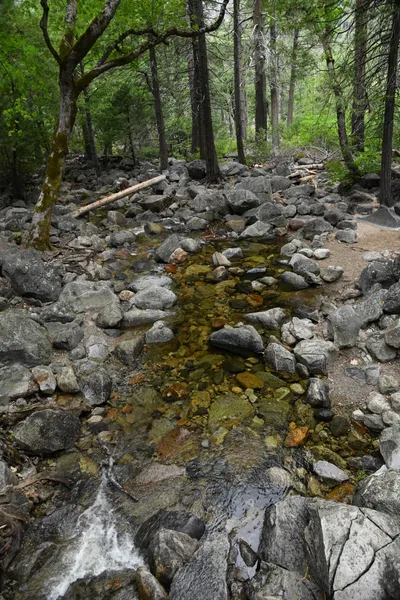 DSC_4595 (Large).JPG